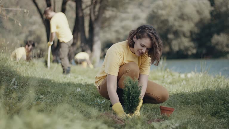 Best Lawn Renovation and Restoration  in Pearl River, NY