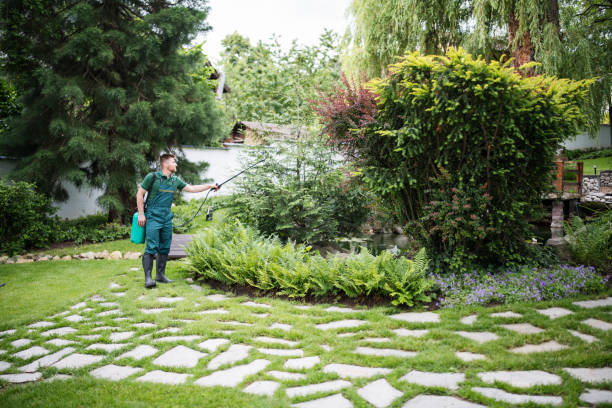 Best Lawn Disease Treatment  in Pearl River, NY