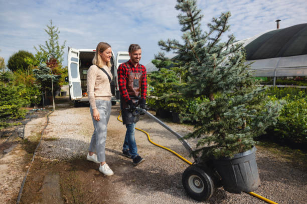 Best Pest Control for Lawns  in Pearl River, NY