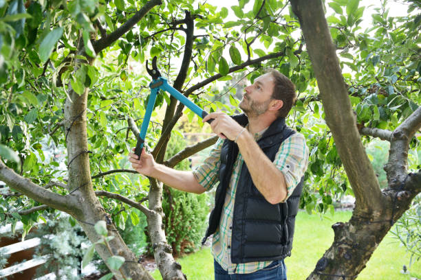 Best Lawn Irrigation Installation and Maintenance  in Pearl River, NY